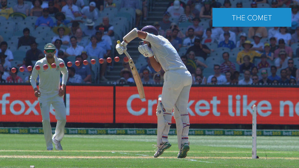 BBG Sports and Bluefish444