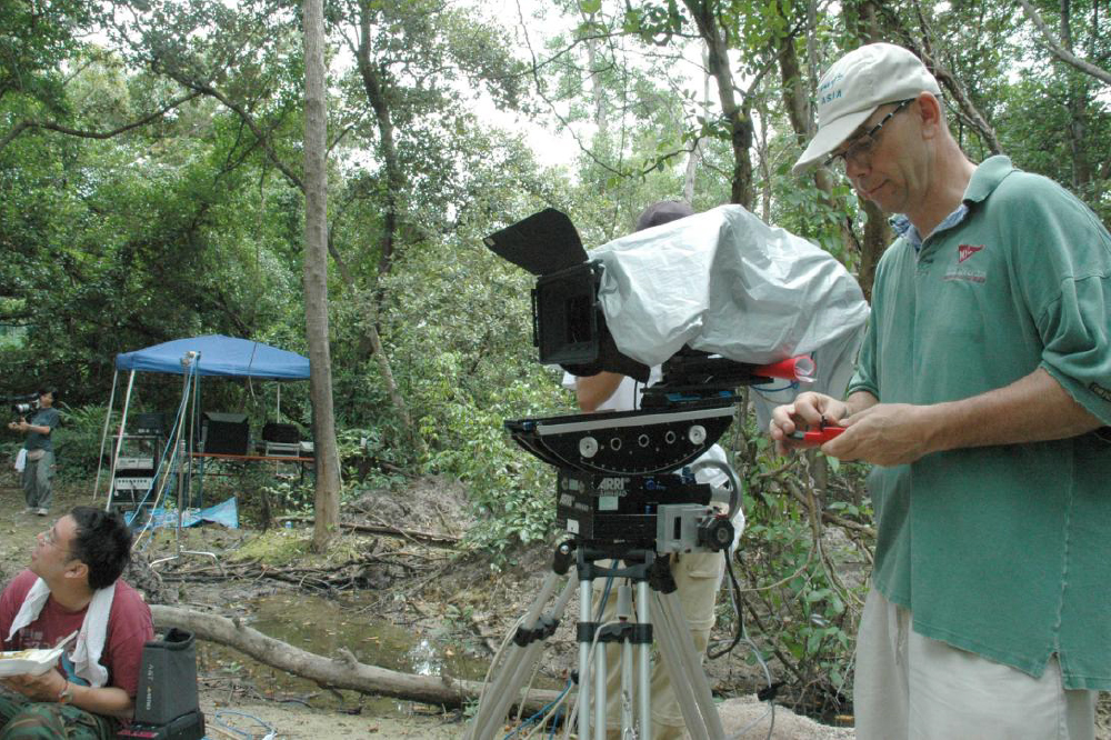 Giant Asian Robots. Bluefish444.