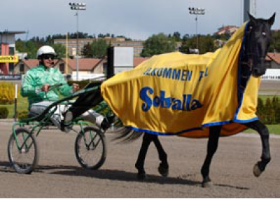 Kanal 75. Bluefish444.