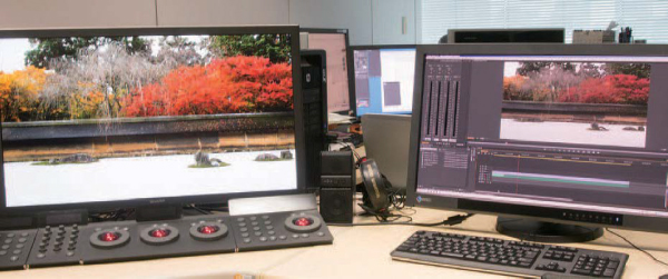 Nippon TV. Bluefish444.