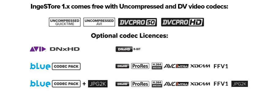 IngeSTore. Multiple codec options